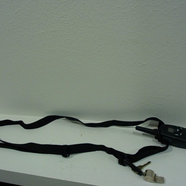 1a. strap with radio