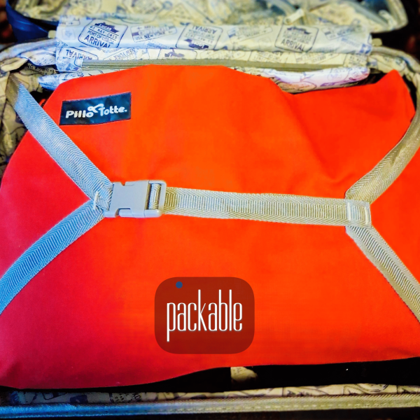 luggage_script_20250725_124508